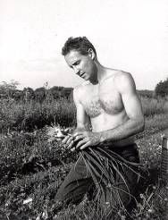 Andy Bell